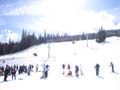 Main Vein Run